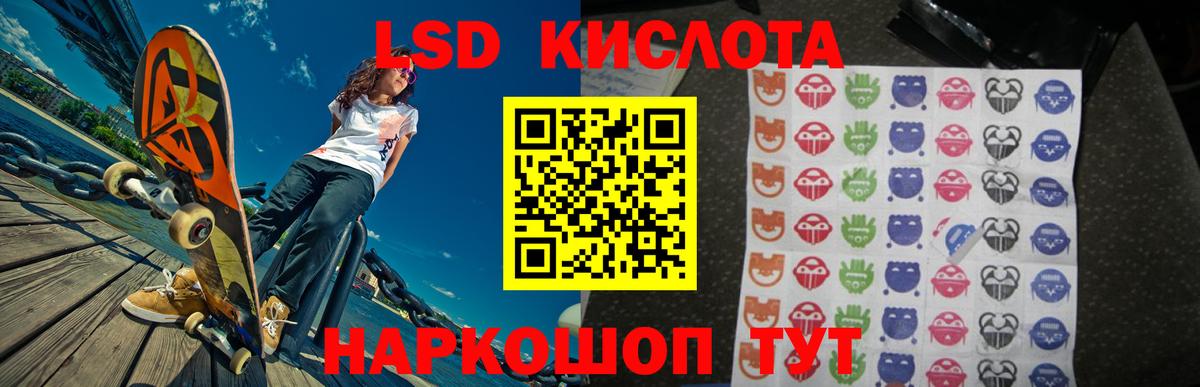 Бошки Шишки Губкинский