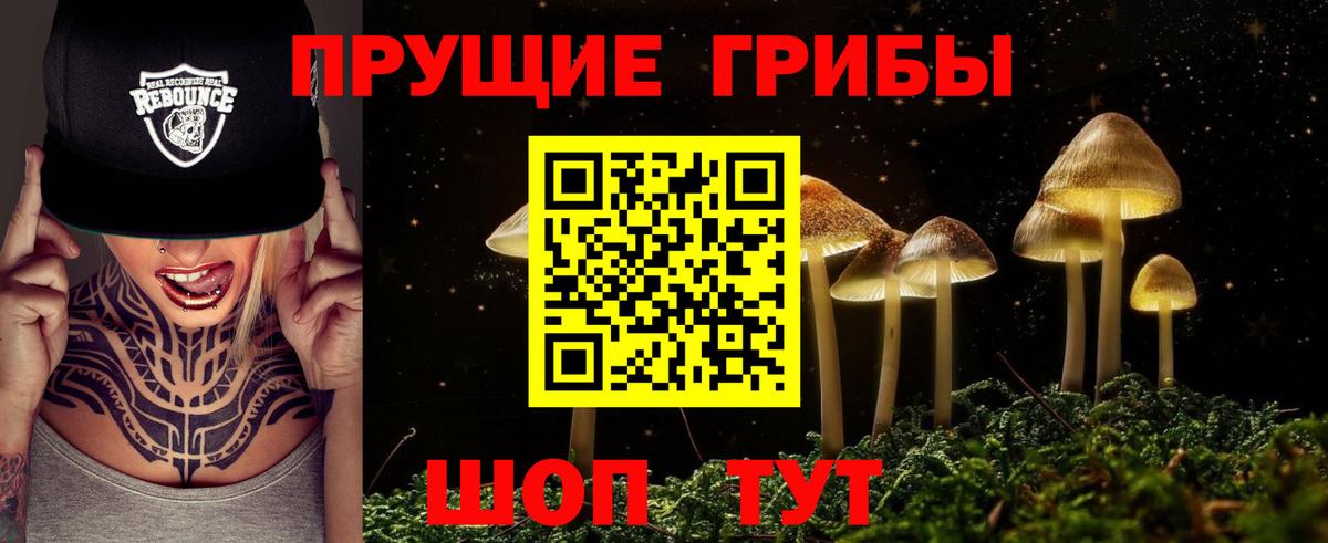 Губкинский  Галлюциногенные грибы Cubensis  Вход с VPN 